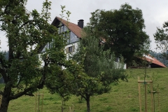 Haus_Obstgarten