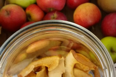 28034215_10157115916373989_1612026746_o