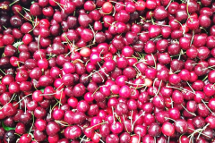 35201874_1166085013531084_8329630754631843840_n