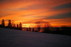 53043162_1376239379182312_6052980599474356224_n