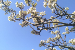 93409568_825353114640442_152450620085764096_n