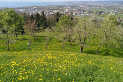 IMG-20190419-WA0006-1-scaled