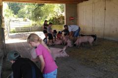 IMG_20240806_101947