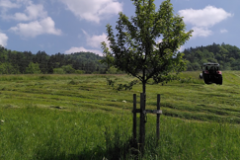 Screenshot-2023-05-29-194724