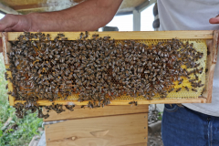 IMG_20220831_144223-scaled