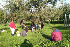 71022712_2597548676968001_5983125426011111424_n