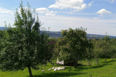 108696006_1980849022048218_3361127388581978112_n_2