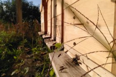 337175138_1269144157334367_2761209054019857451_n