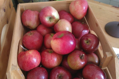 70353626_2016943375074115_4780580109784449024_n