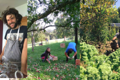 Bildschirmfoto-2018-09-27-um-15.00.18