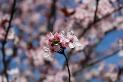 IMG-20190415-WA0061