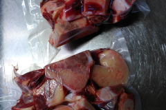 1_pro-CW7r0JfL-scaled