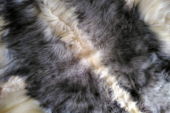 310511230_1156616831878711_2910122260285542462_n