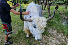 20230607_093240-scaled