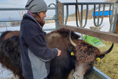 327114957_560844009062623_7891136285157987153_n