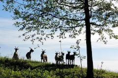 280668511_1293879967802557_3828909103801740730_n