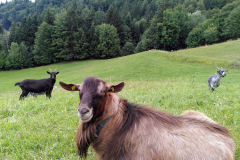 298555132_779950373425935_8739699432915044245_n